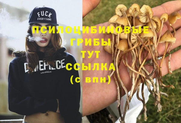 бутират Алзамай
