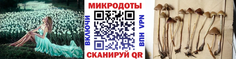 Галлюциногенные грибы Cubensis Дюртюли